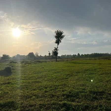 1715669954523.webp