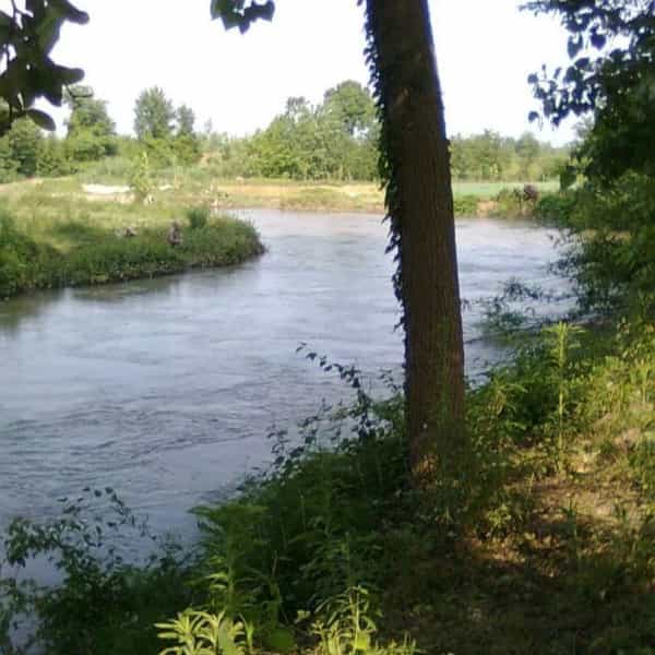 1720329756284.webp
