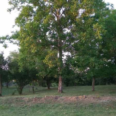 1720329765269.webp