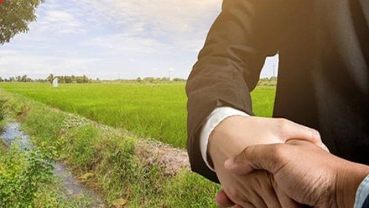 زمین با کاربری مسکونی در سنگر رشت زمین با کاربری مسکونی در سنگر رشت