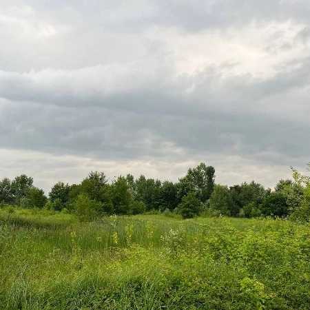 1721716176154.webp 1721716176154.webp