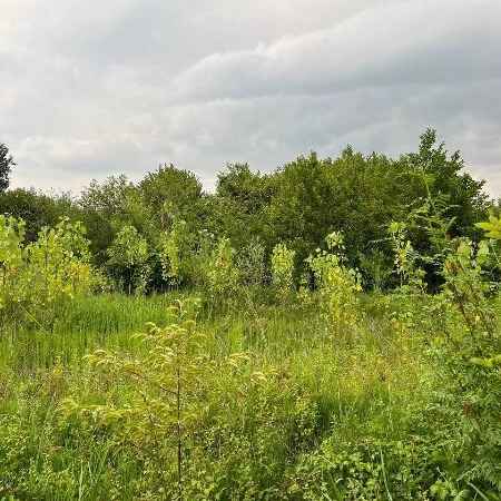 1721716228183.webp 1721716228183.webp