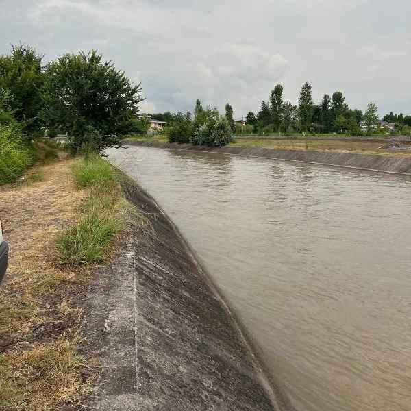 1721716236399.webp 1721716236399.webp