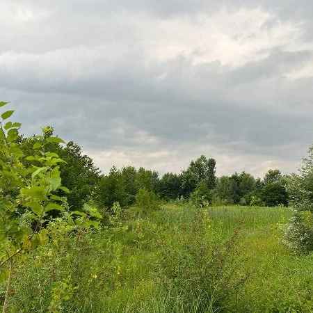 1721716244406.webp 1721716244406.webp